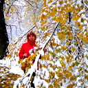 Елена Левченко