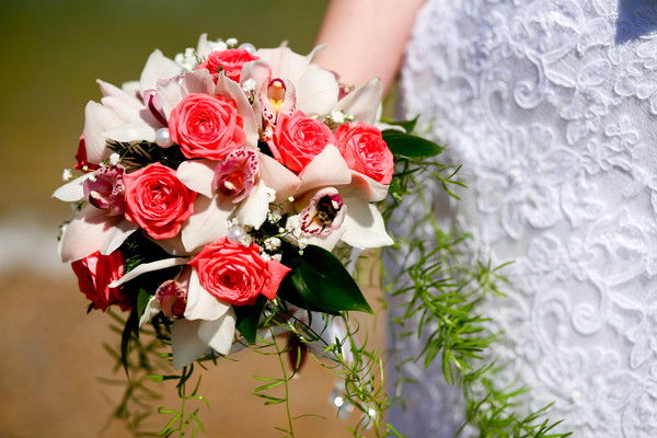 Светлана Коротенко