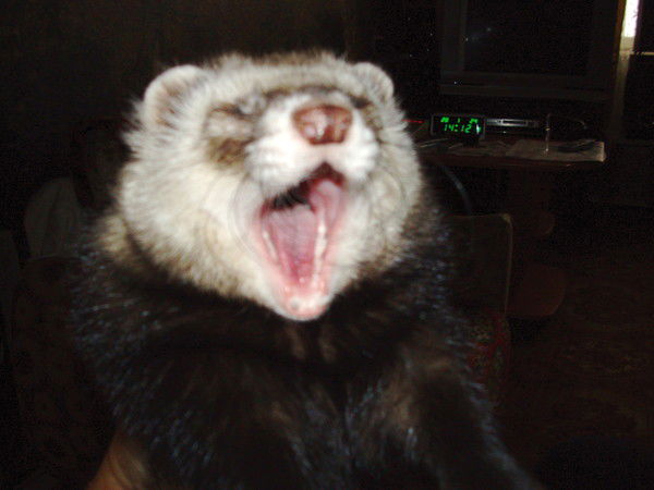 Валерий Пузанов