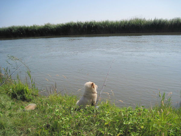 Оксана Исакова