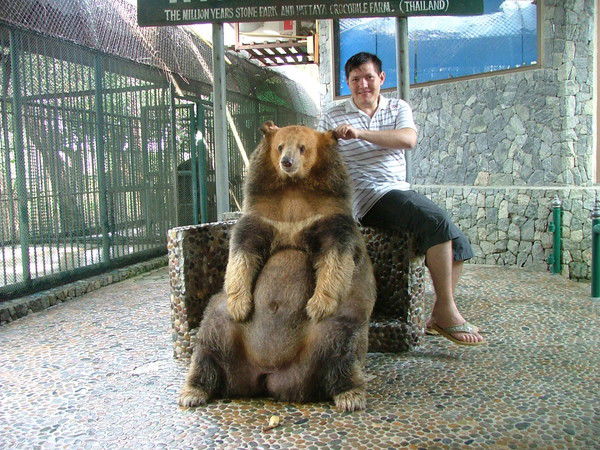 Даулет Аманжол