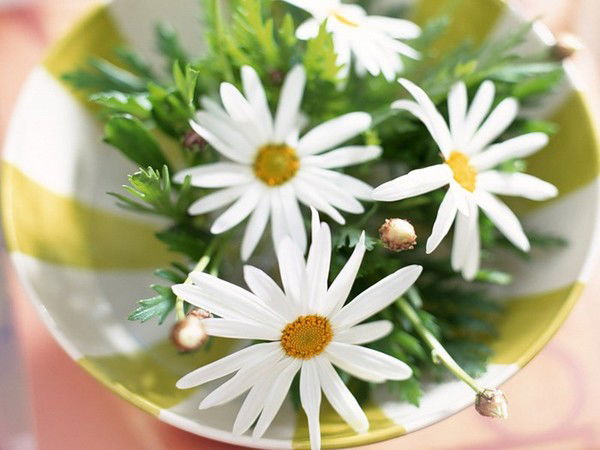 Оля Умурзакова