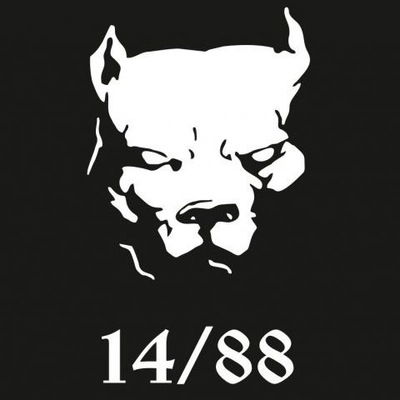 Стас Себестянюк