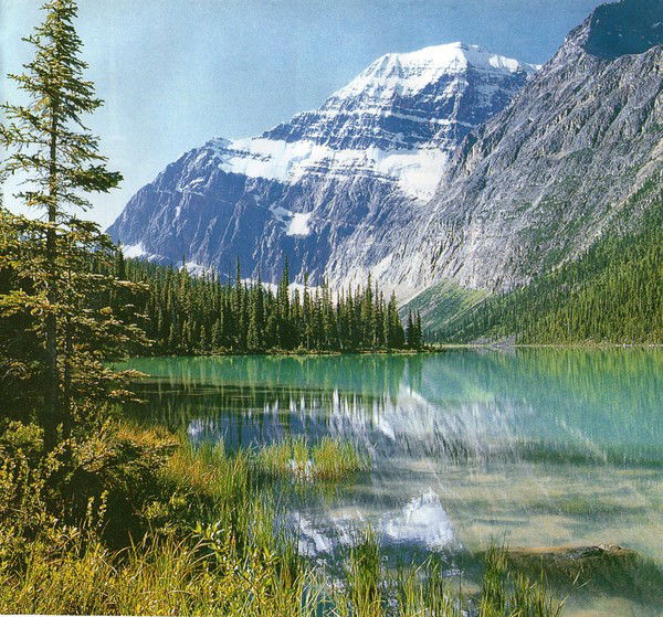 Ренат Жданко