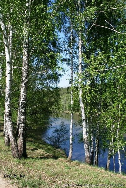 Татьяна Нижник