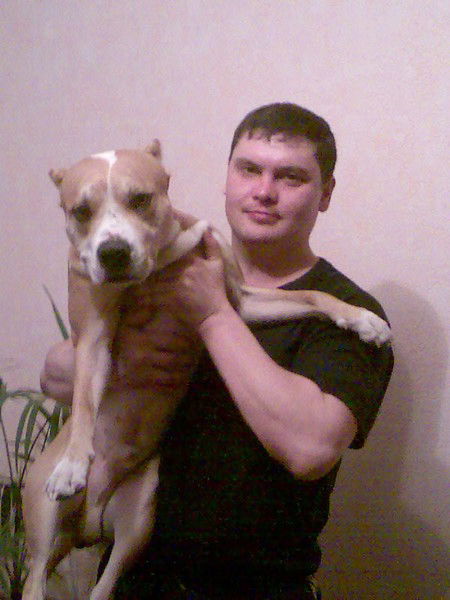 Сергей Половинко