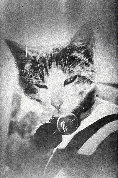 Ильсия Исмагилова