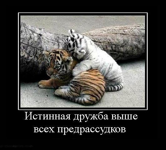 Натальяв Вязовцева