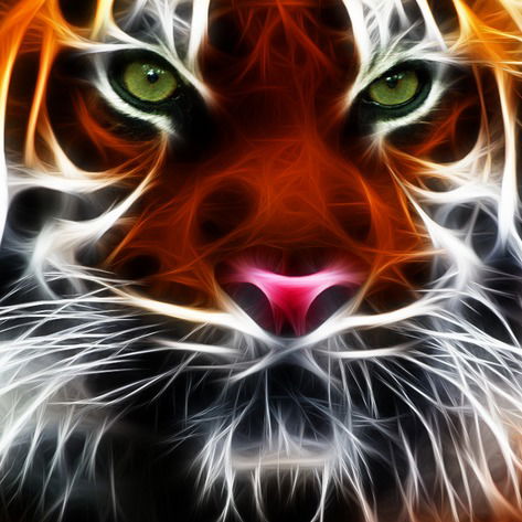 Татьяна Гладышева