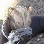 Александра Филатова