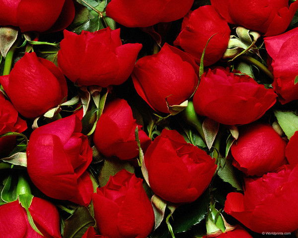 Валентина Кравчун