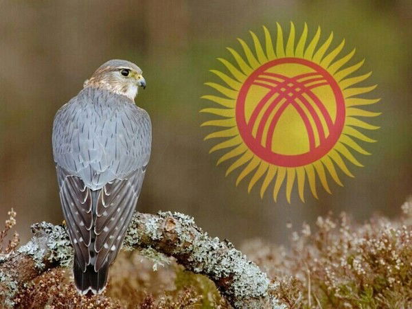 Kылычбек. К.а