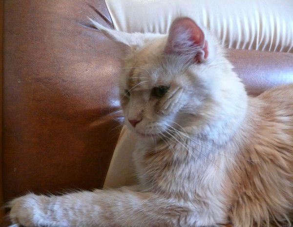 Валентин Попов