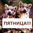 Олег Коледин