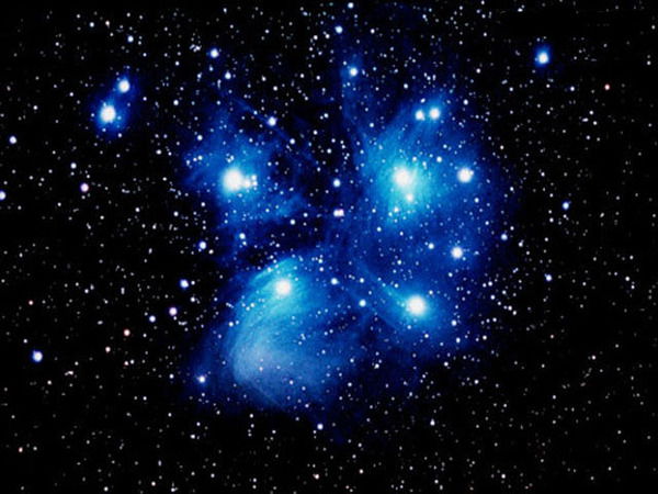 Виктория Бутина