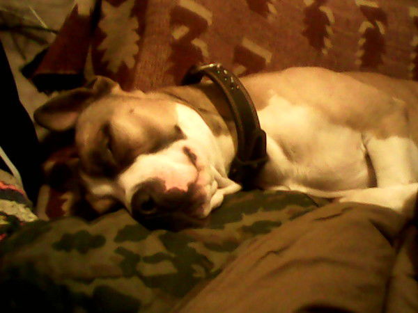 Аркадий Мезенцев