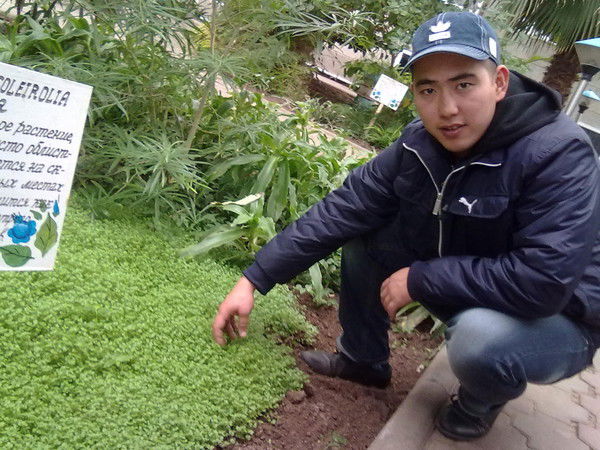 Рамиль Аюпов