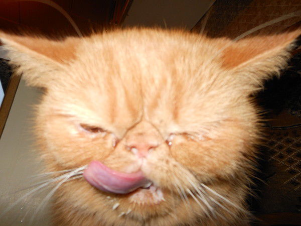 Владимир Сорокин