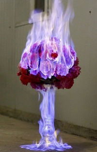 Анастасия Новикова