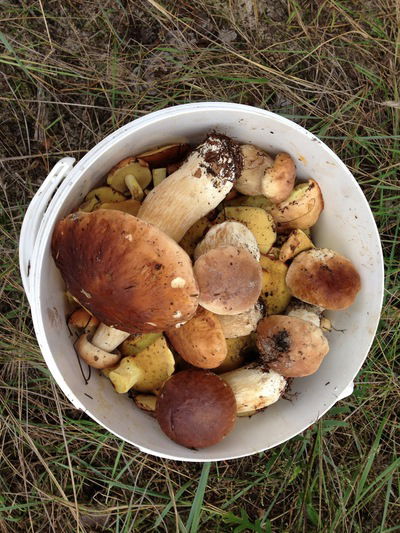 Саша Будников