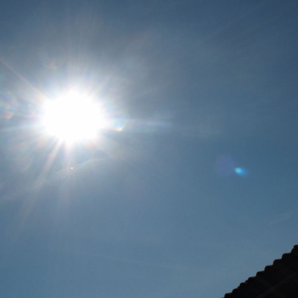 Монгол Монголик