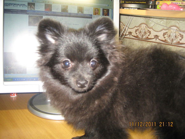 Андрей Верхолатов