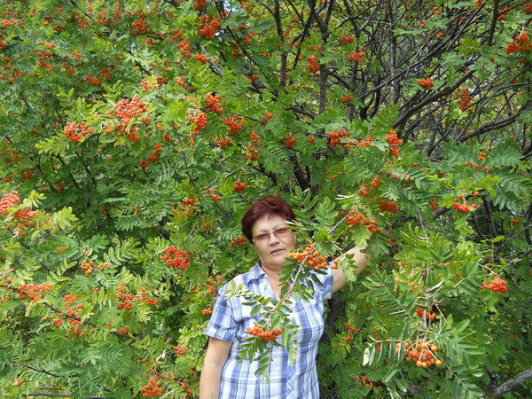 Ирина Новосельцева