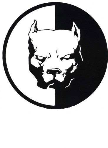 Руслан Цыганков