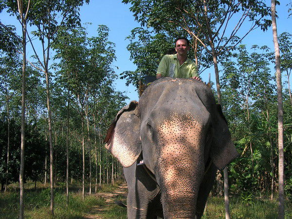 Игорь Харитоненко