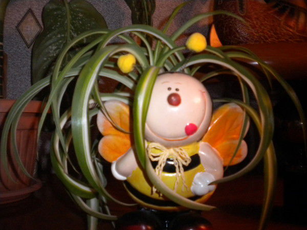 Светлана Григорьева