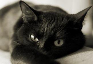 Сергей Серебряков