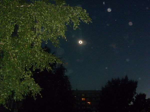 Лиза Шеливейстр