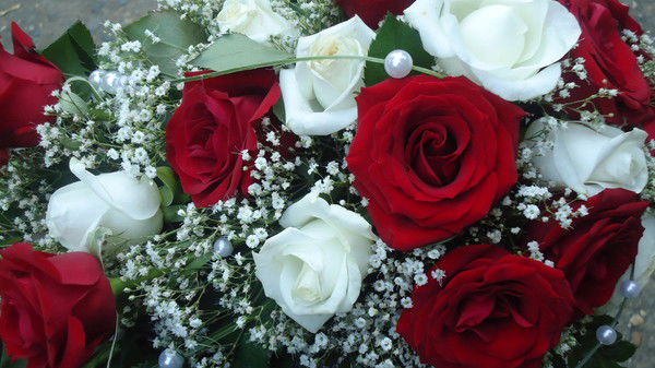 Юлия Крищенко