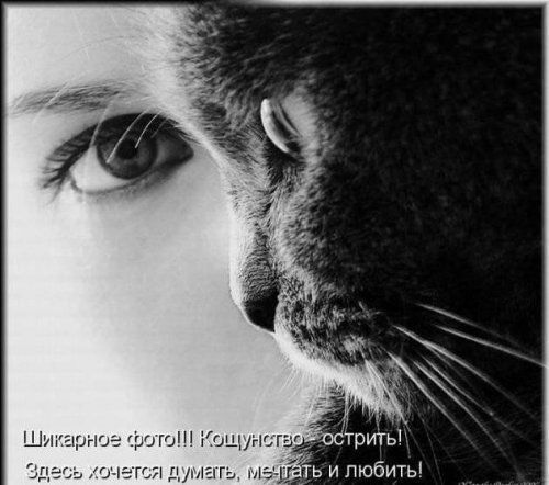 Аня Пасечник