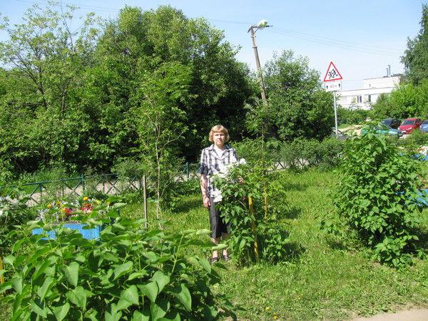 Любовь Матиевич