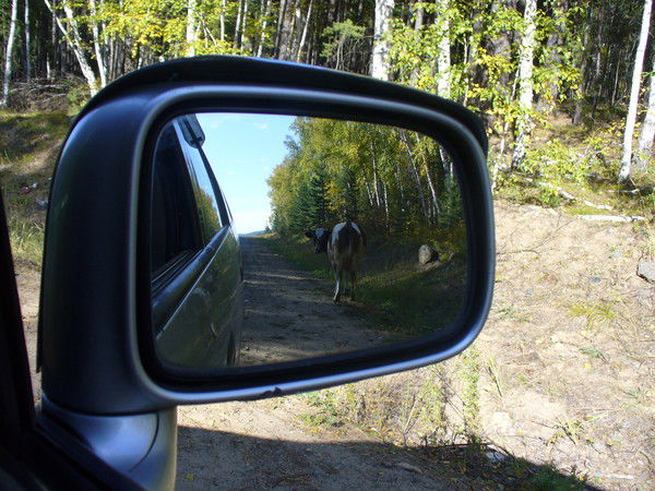 Алексей Качурин