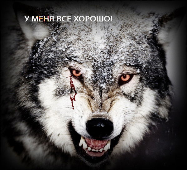 Бердмурат Зулкапил