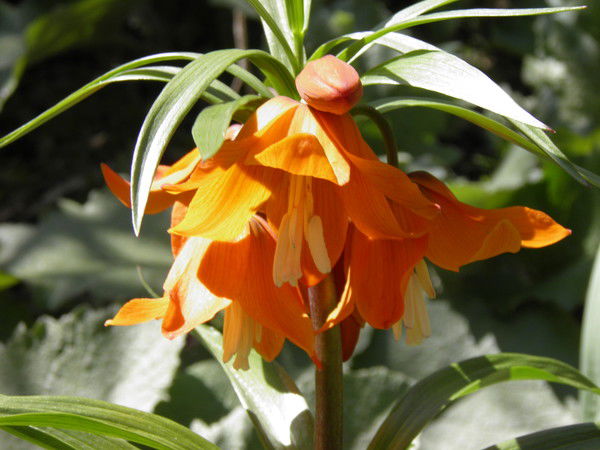 Айнагул Базарбаева