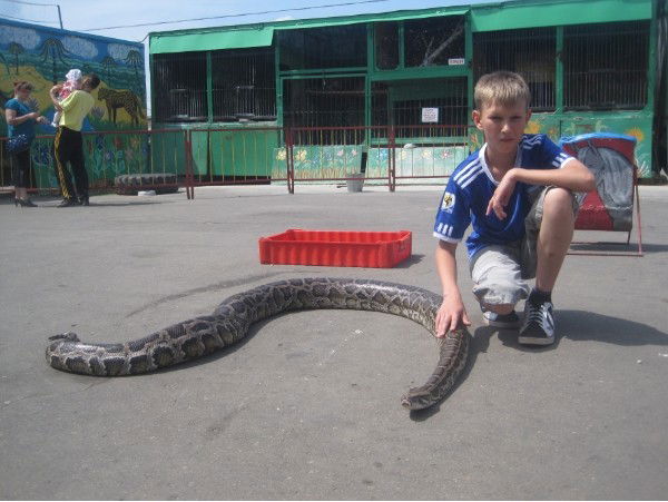 Иван Штабной