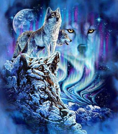 Александра Толстейко