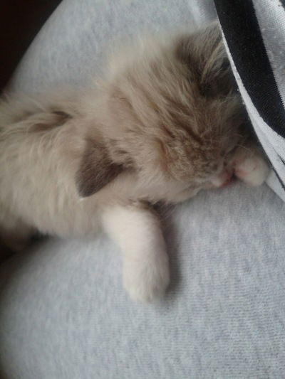 Валентин Костюченко