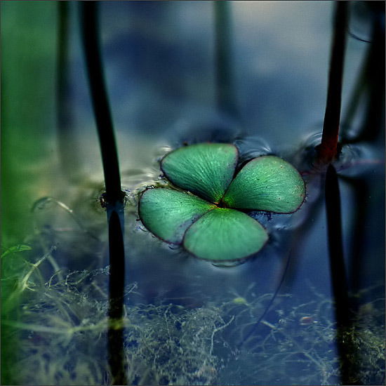 Ira Теплякова