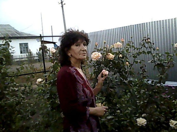 Наталья Лаврова Короба