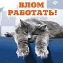 Александр Голубев