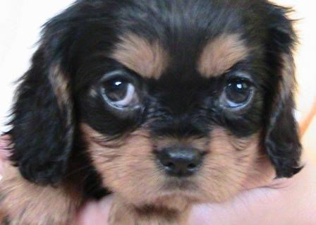 Наталия Строкина