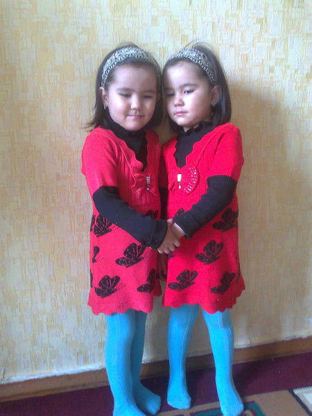 Шайхидин Бадиров