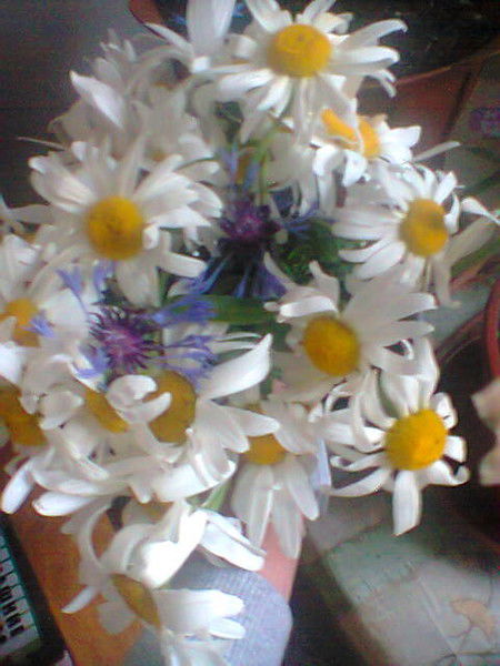 Роман Зенякин