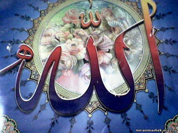 Айгерим Баялиева