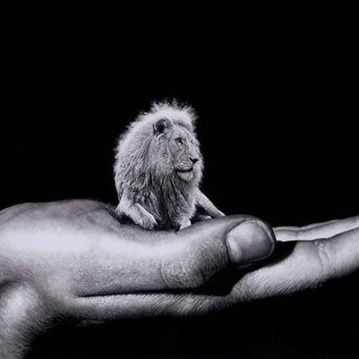 Динара Мажинтене