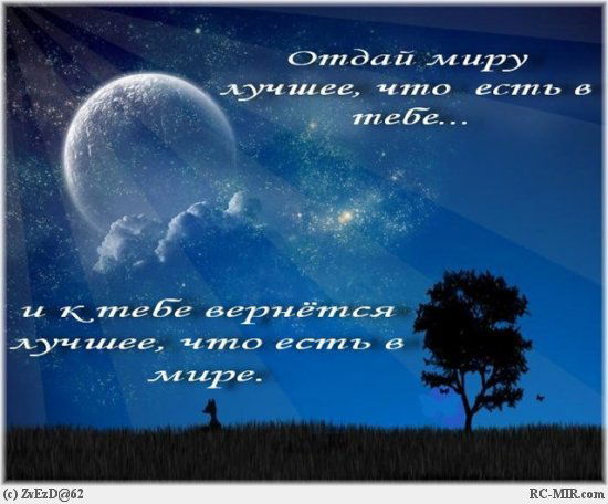 Елизавета Пушникова